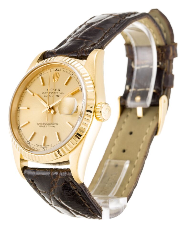 Image #1 from Amelia Gonzales