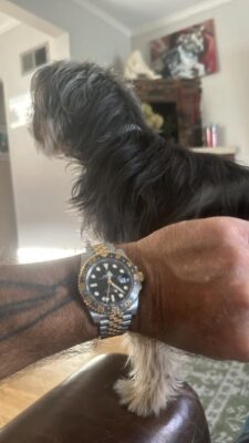 Image #1 from Ramadan Malouf